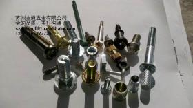 【苏州螺丝厂 苏州紧固件 苏州标准件价格_苏州螺丝厂 苏州紧固件 苏州标准件厂家】- 